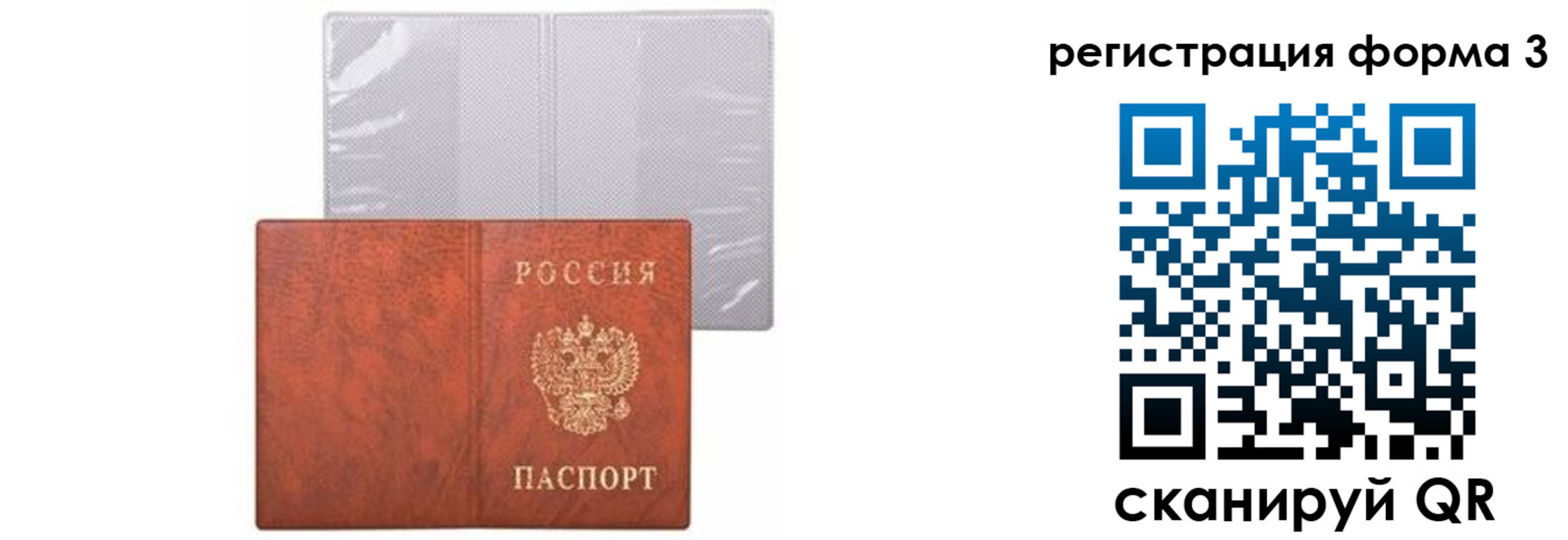 прописка 2025 в Николаевске